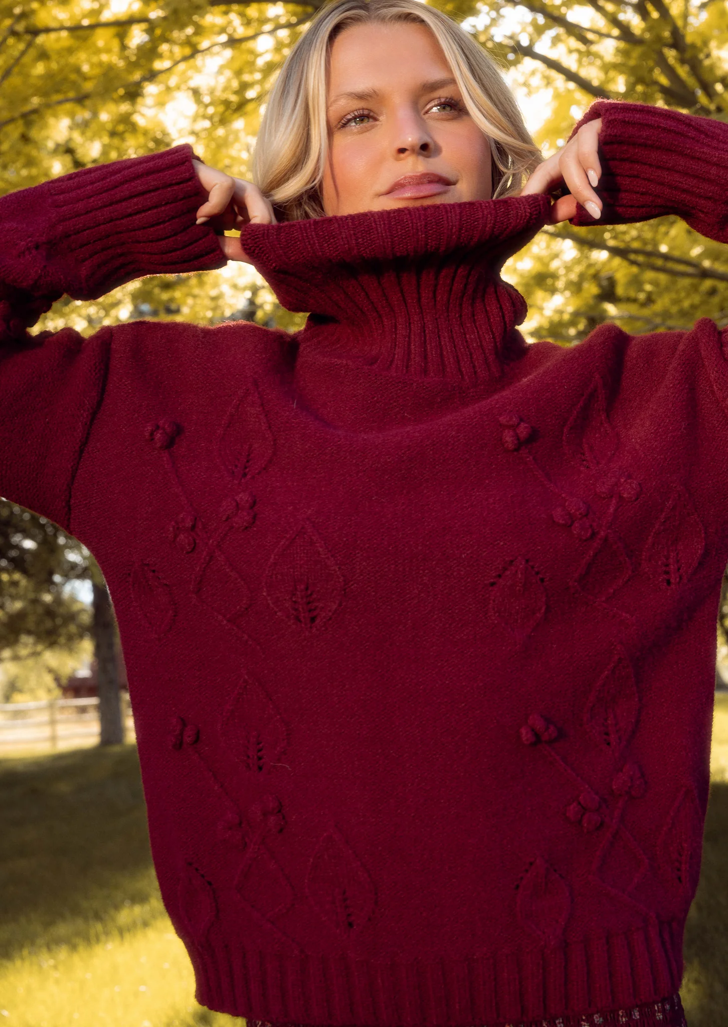 Megan Sweater in Burgundy - Image 5